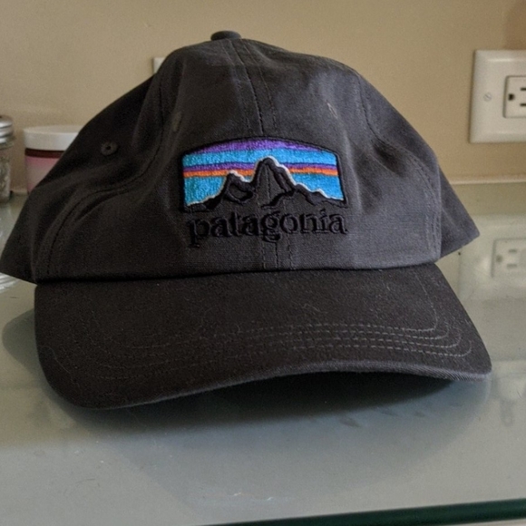 Patagonia Accessories - Patagonia ballcap